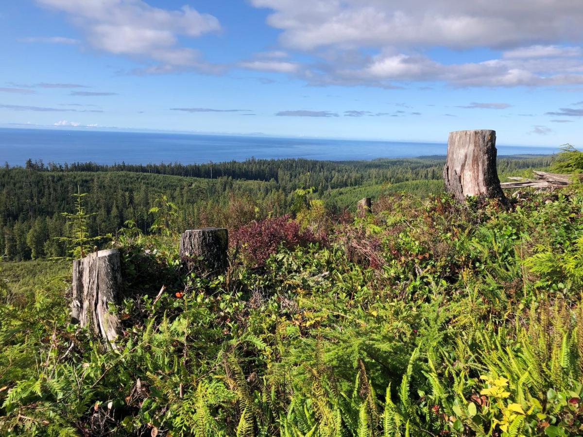 Bjørn Holm Villa Port Renfrew Eksteriør billede