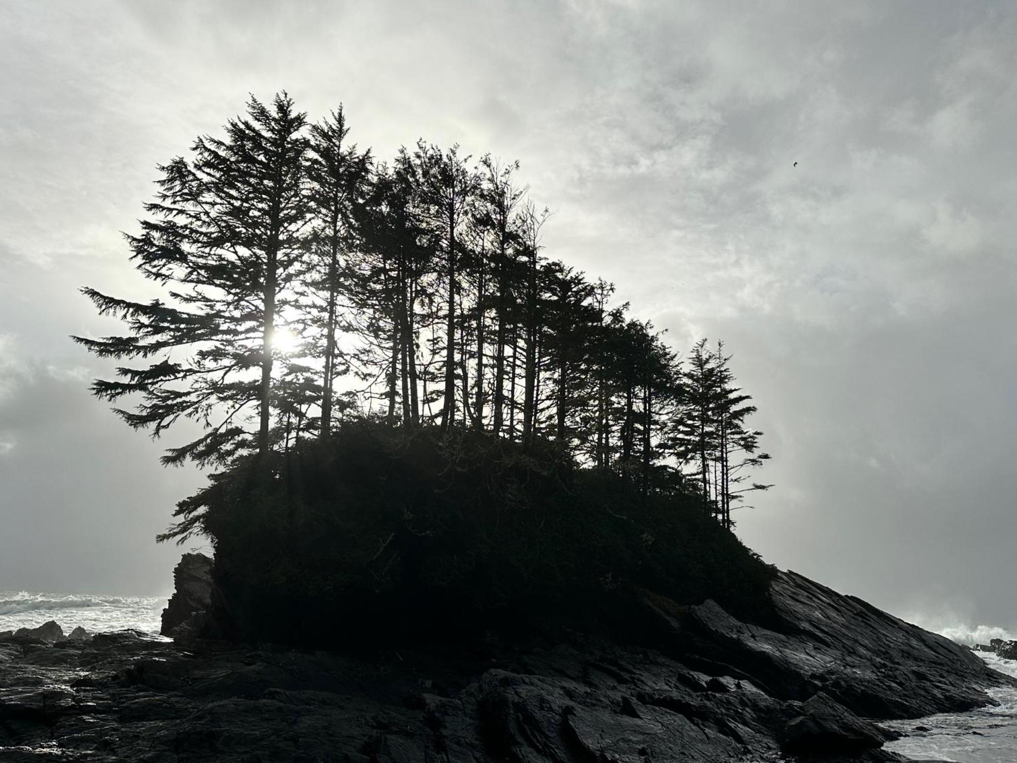 Bjørn Holm Villa Port Renfrew Eksteriør billede