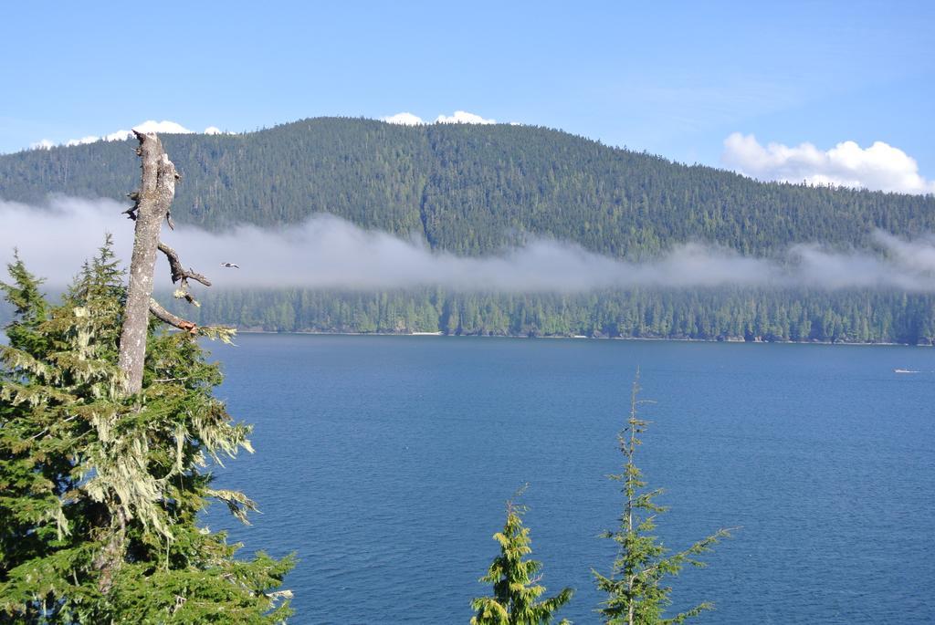 Bjørn Holm Villa Port Renfrew Eksteriør billede